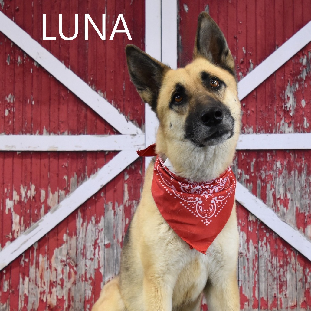 Luna