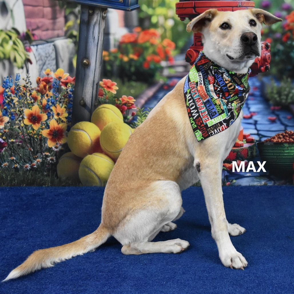 Max