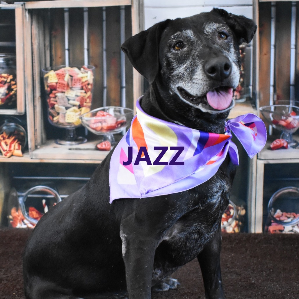 Jazz