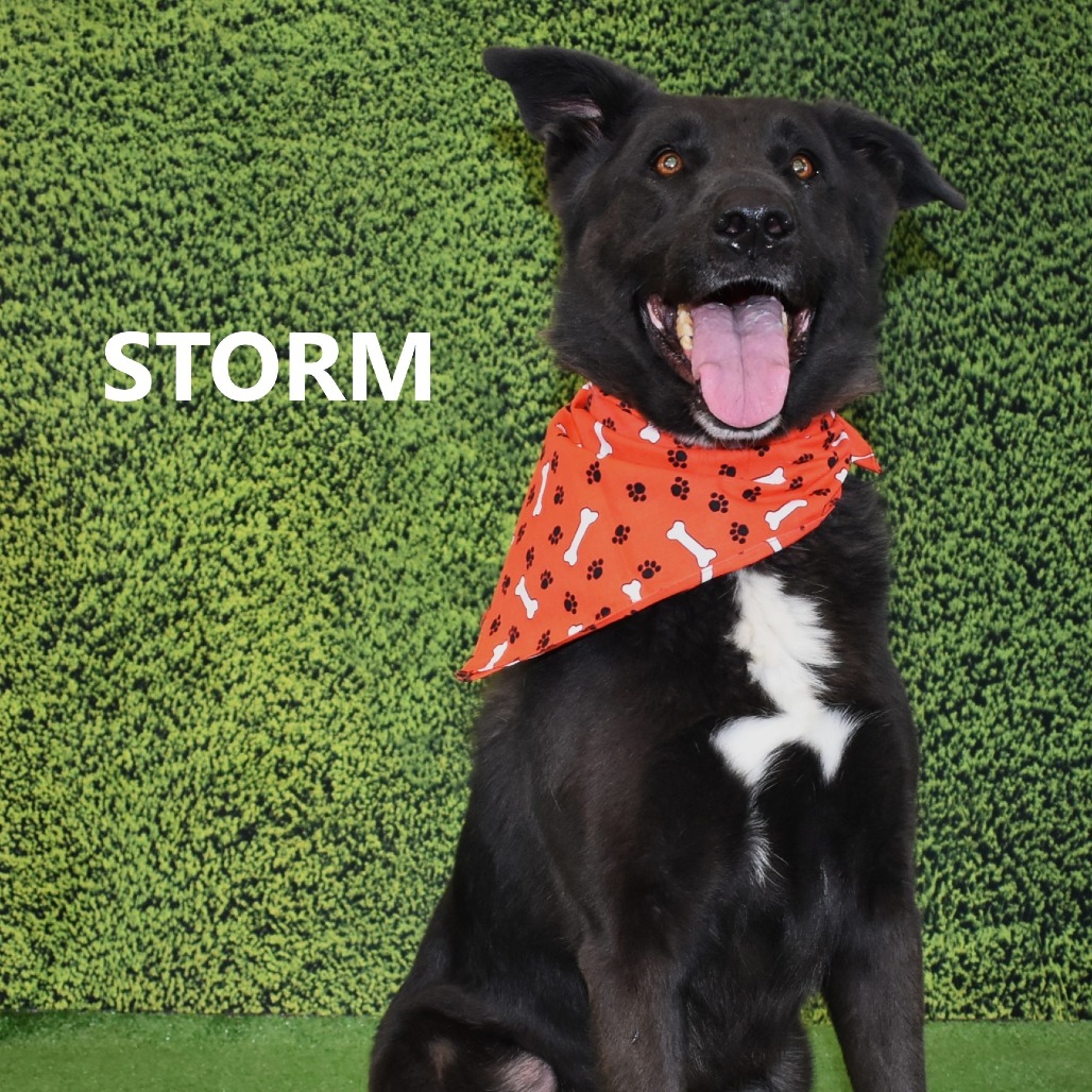 Storm