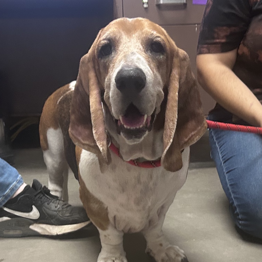 Walter