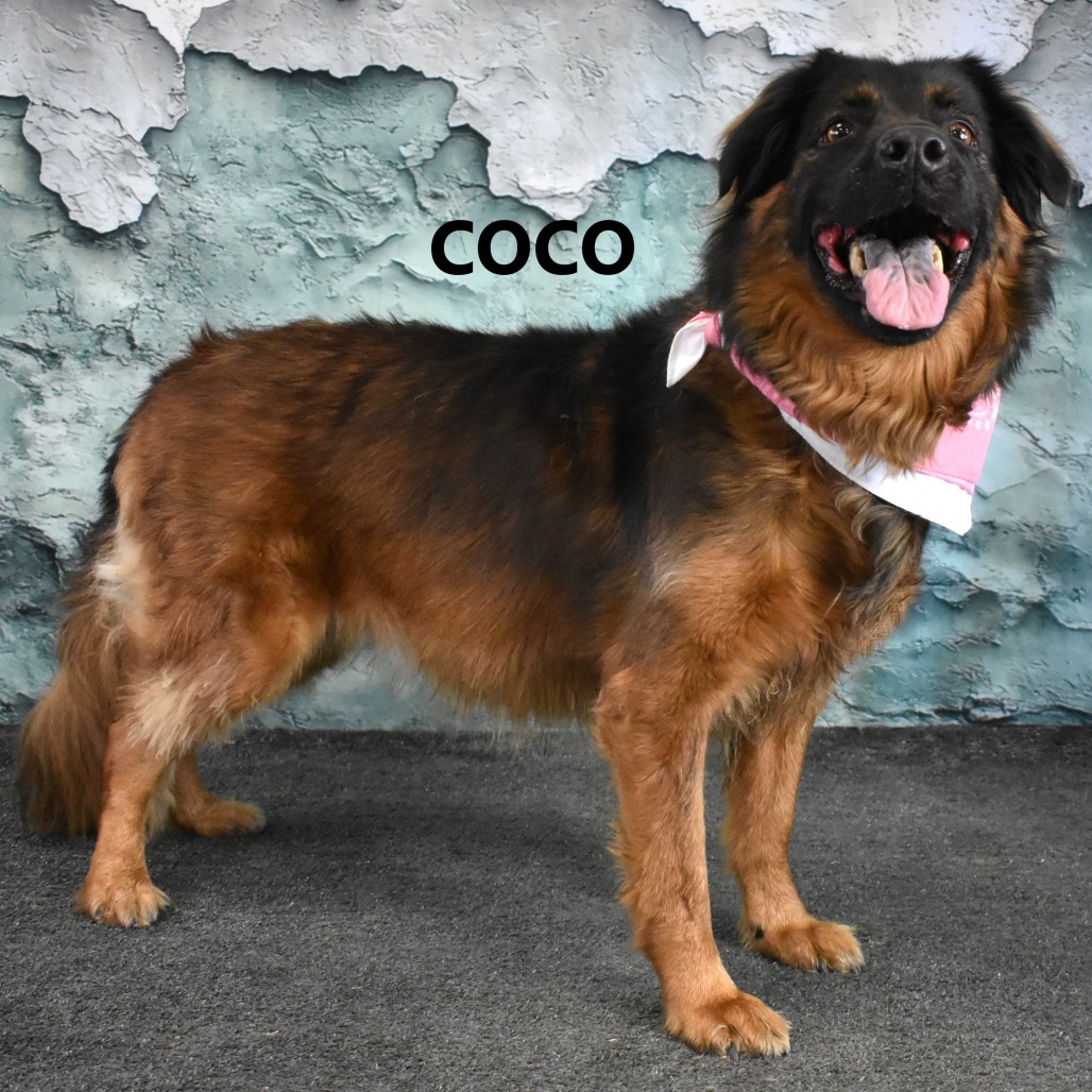 Coco