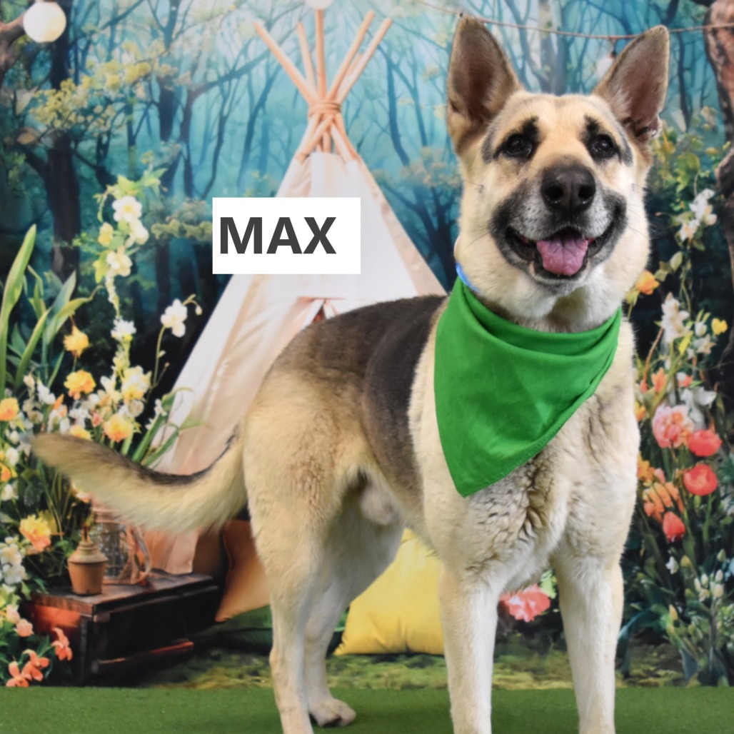 Max