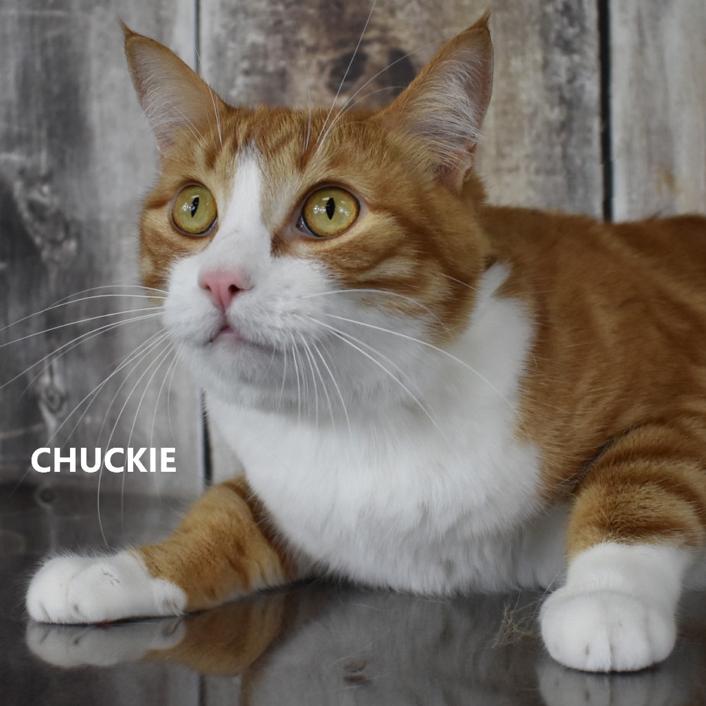 Chuckie
