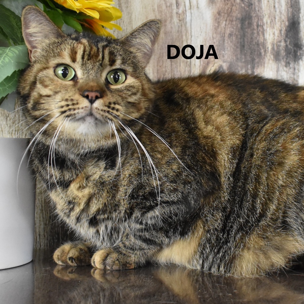 Doja