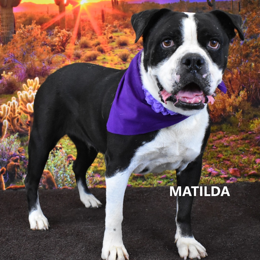 Matilda