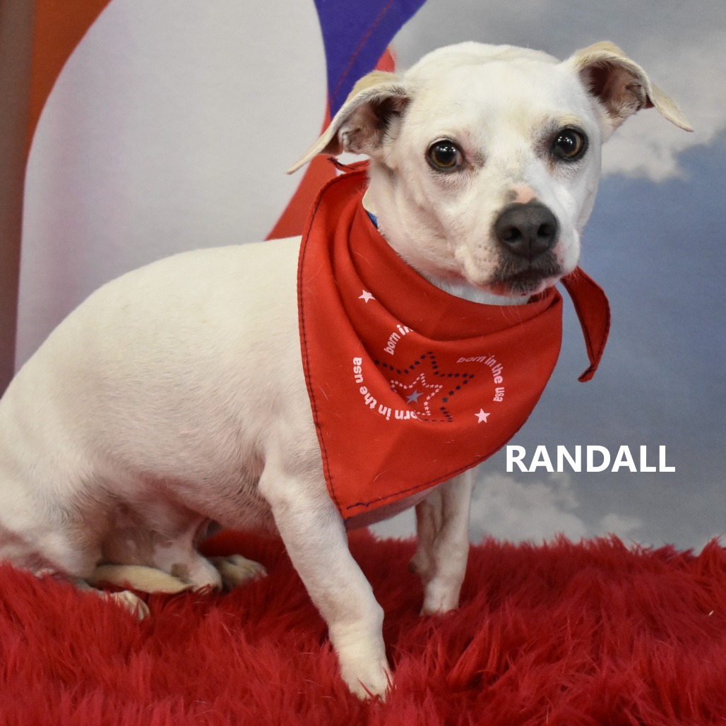 Randall