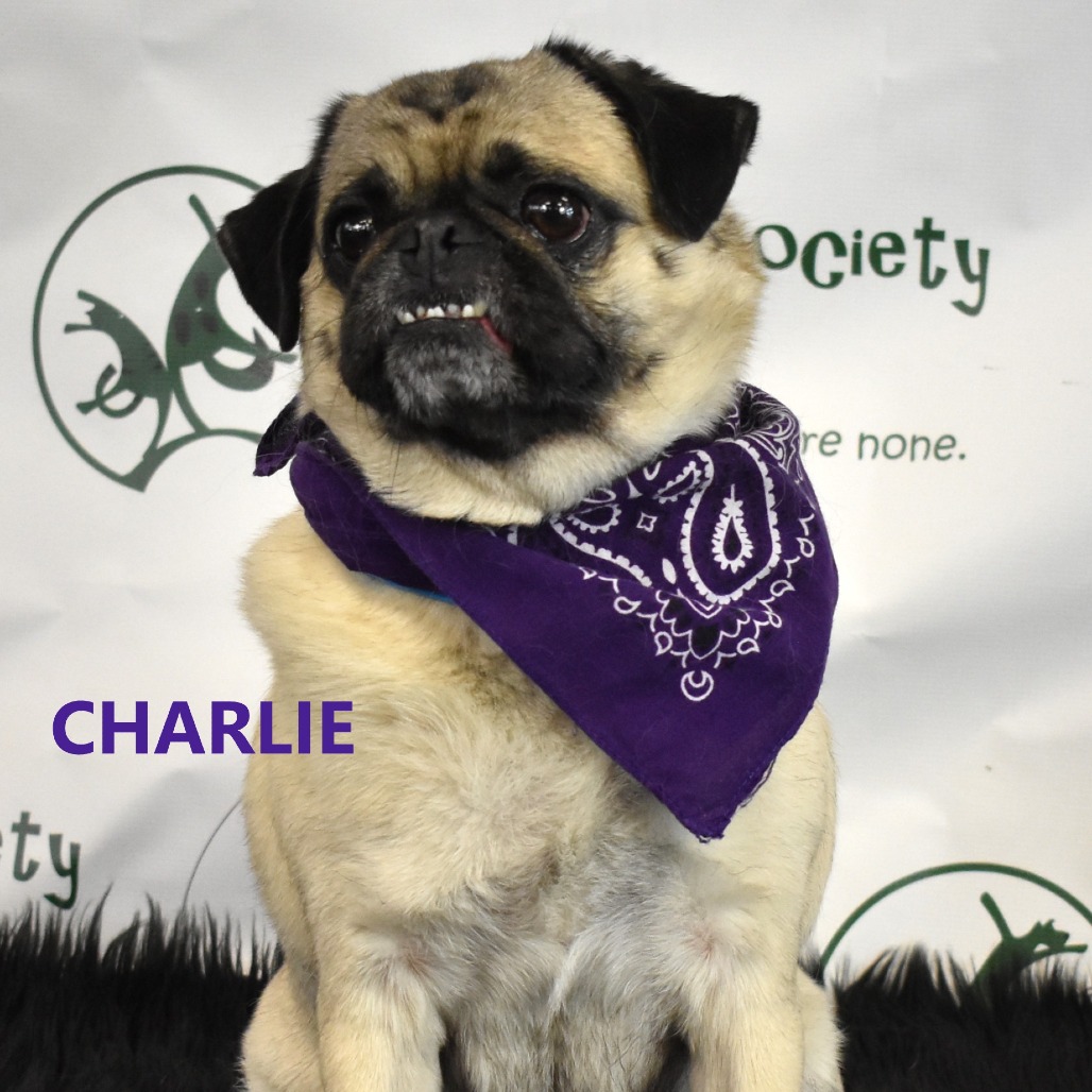 Charlie