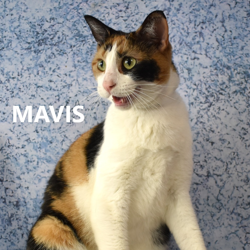 Mavis