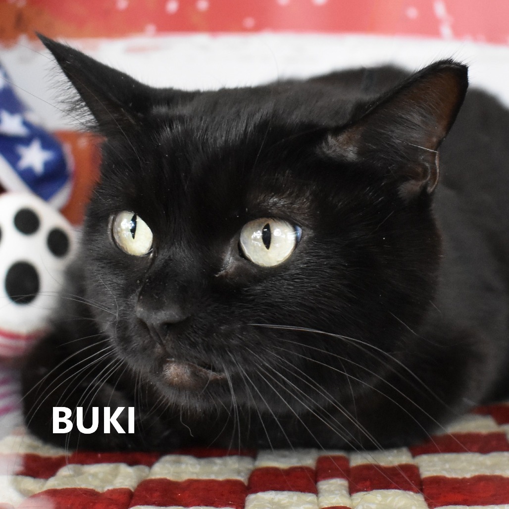 Buki