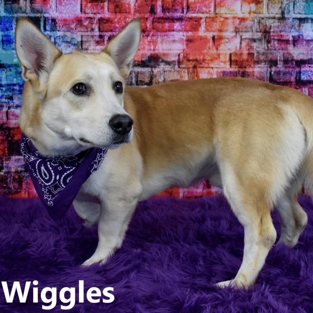 Wiggles