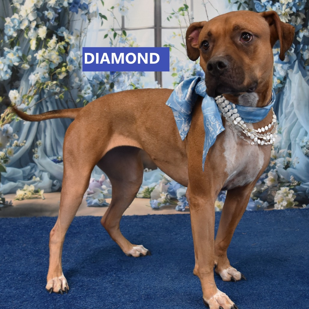 Diamond