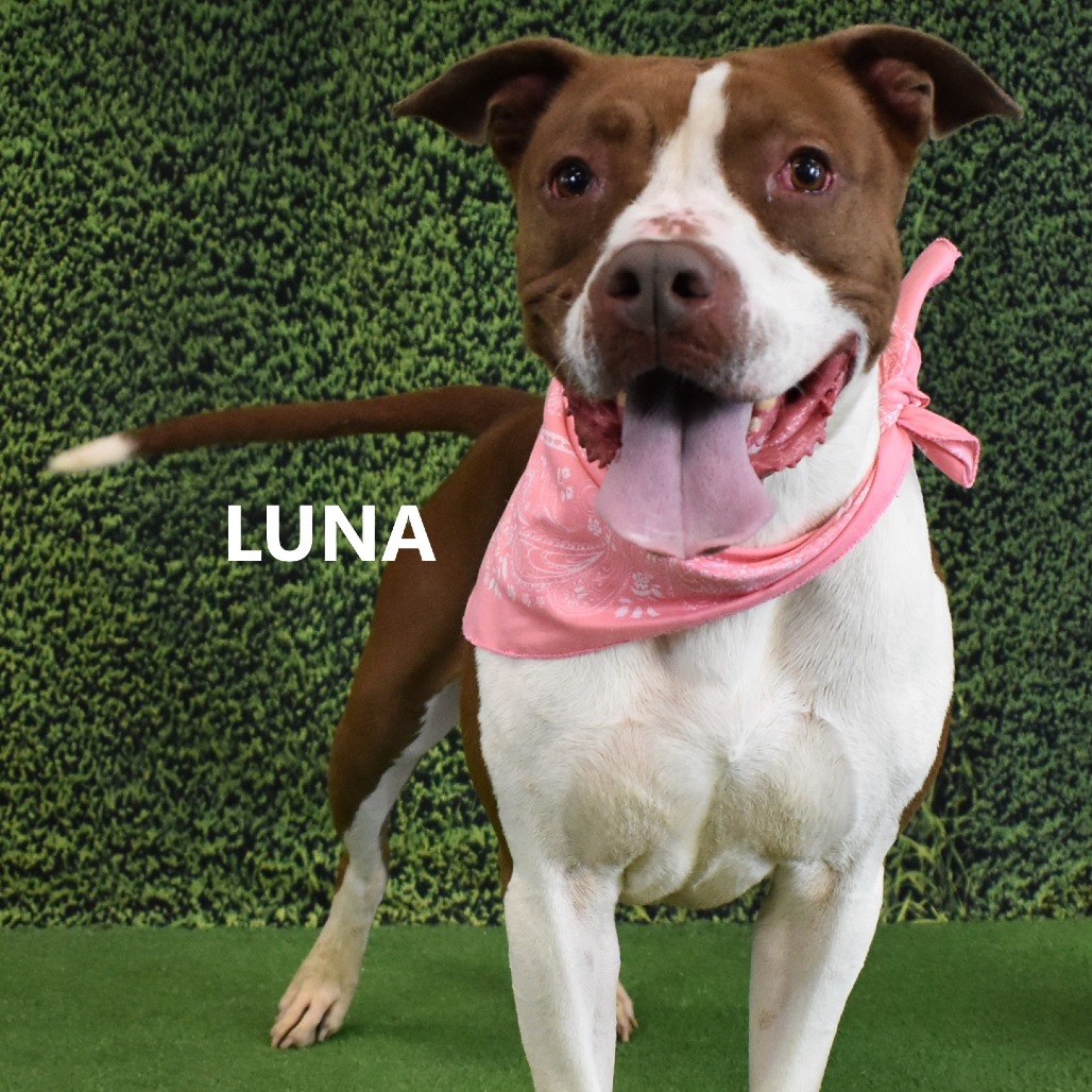 Luna