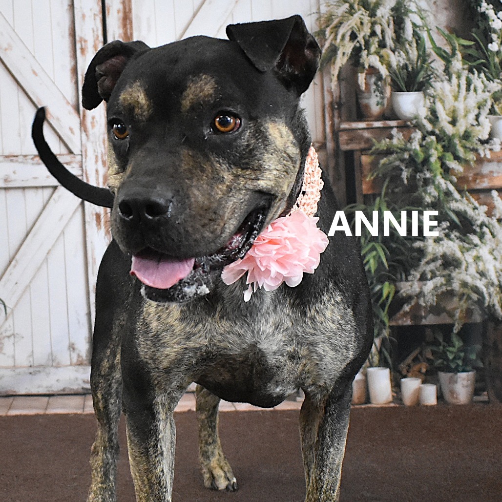 Annie