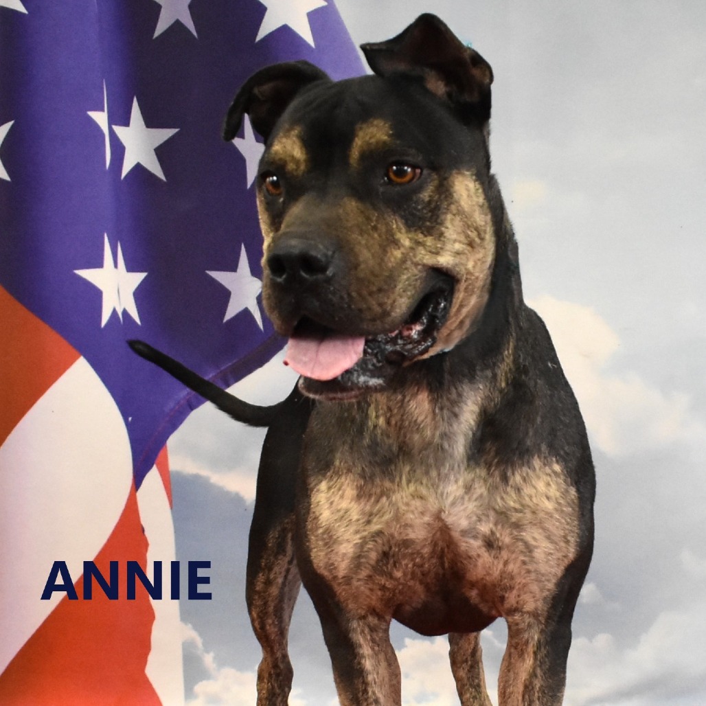 Annie