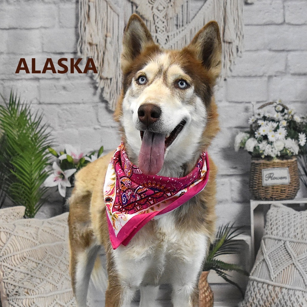 Alaska