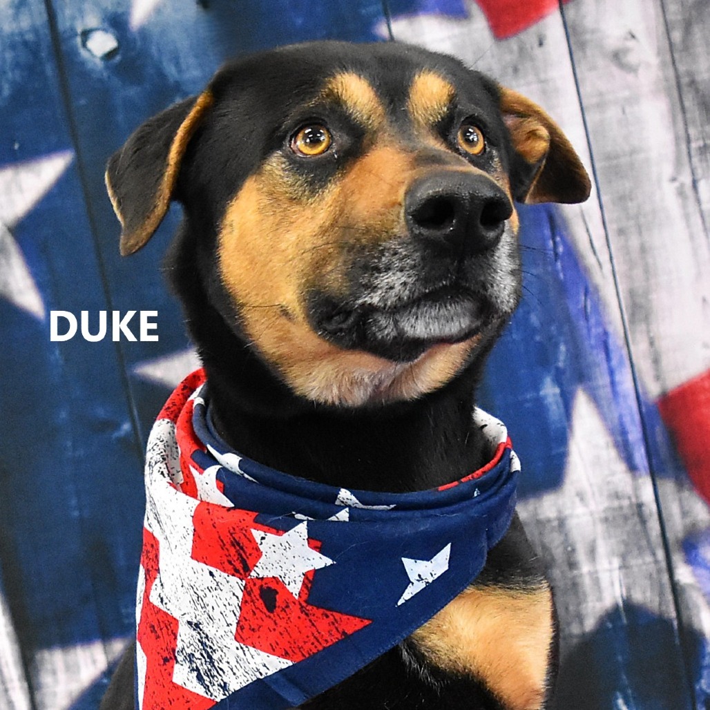 Duke