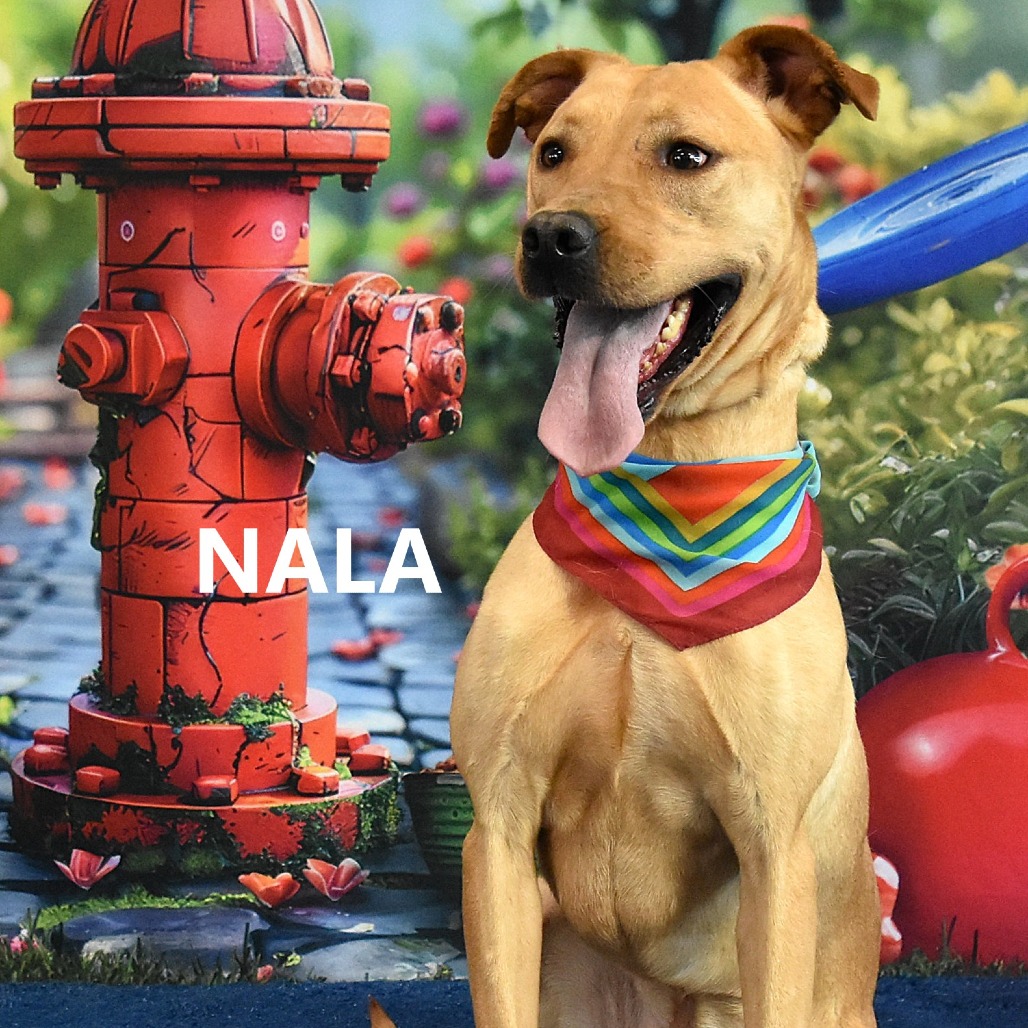 Nala